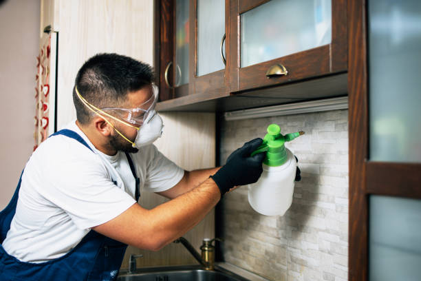Best Best Pest Control Companies  in Midwest City, OK