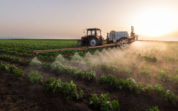 Best Pest Prevention Services  in Midwest City, OK