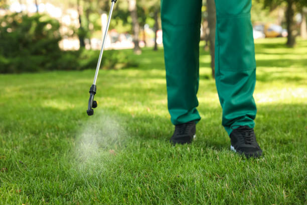 Best Exterminator Services  in Midwest City, OK