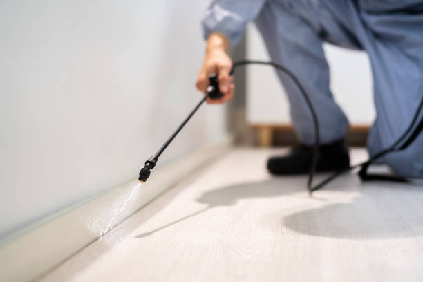 Pest Control Cost in Midwest City, OK