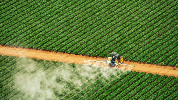 Best Pest Inspection Near Me  in Midwest City, OK