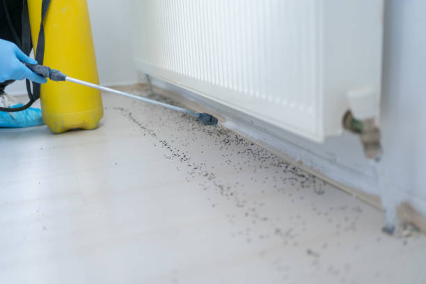 Wildlife Control Services in Midwest City, OK